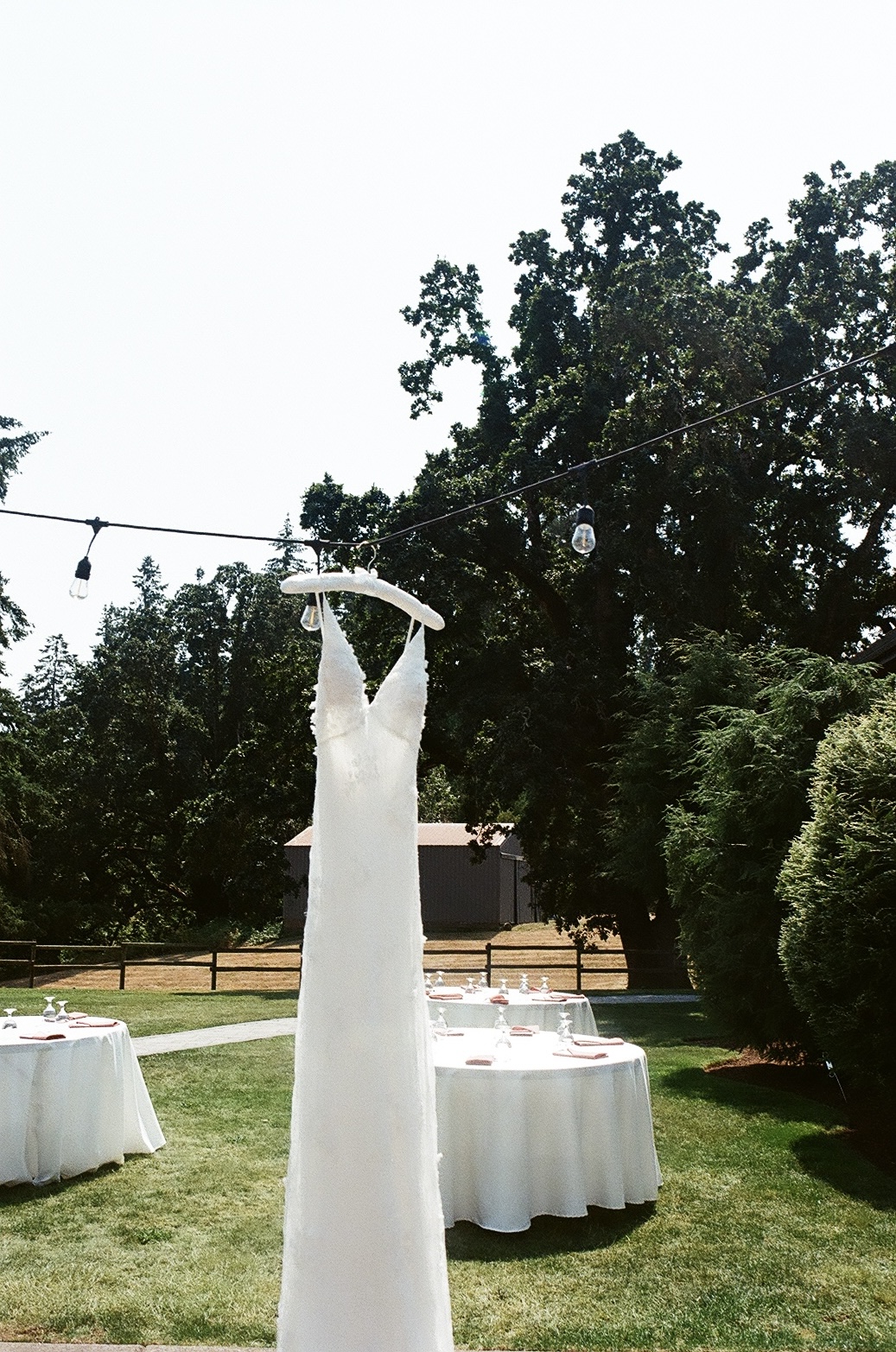 T + T - Wedding Dress