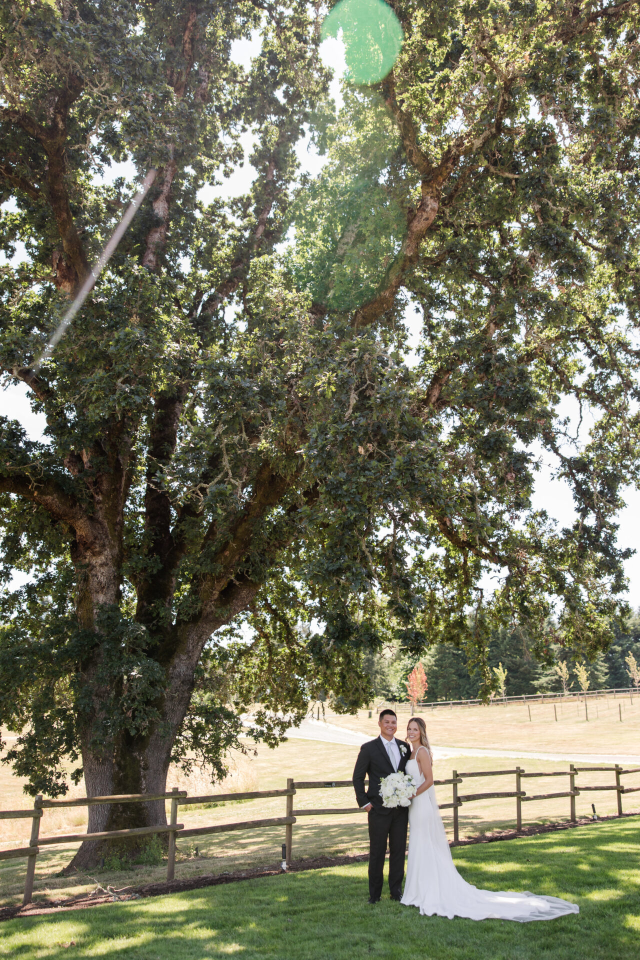 C & K - Beautiful Oaks