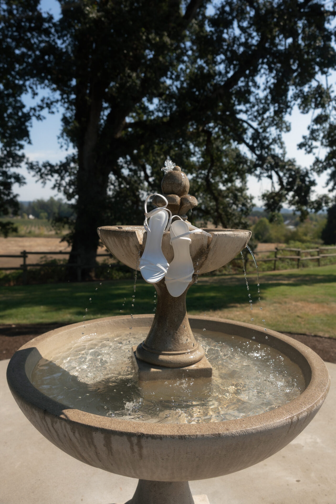 Sydney + Evan | Rowe Wedding