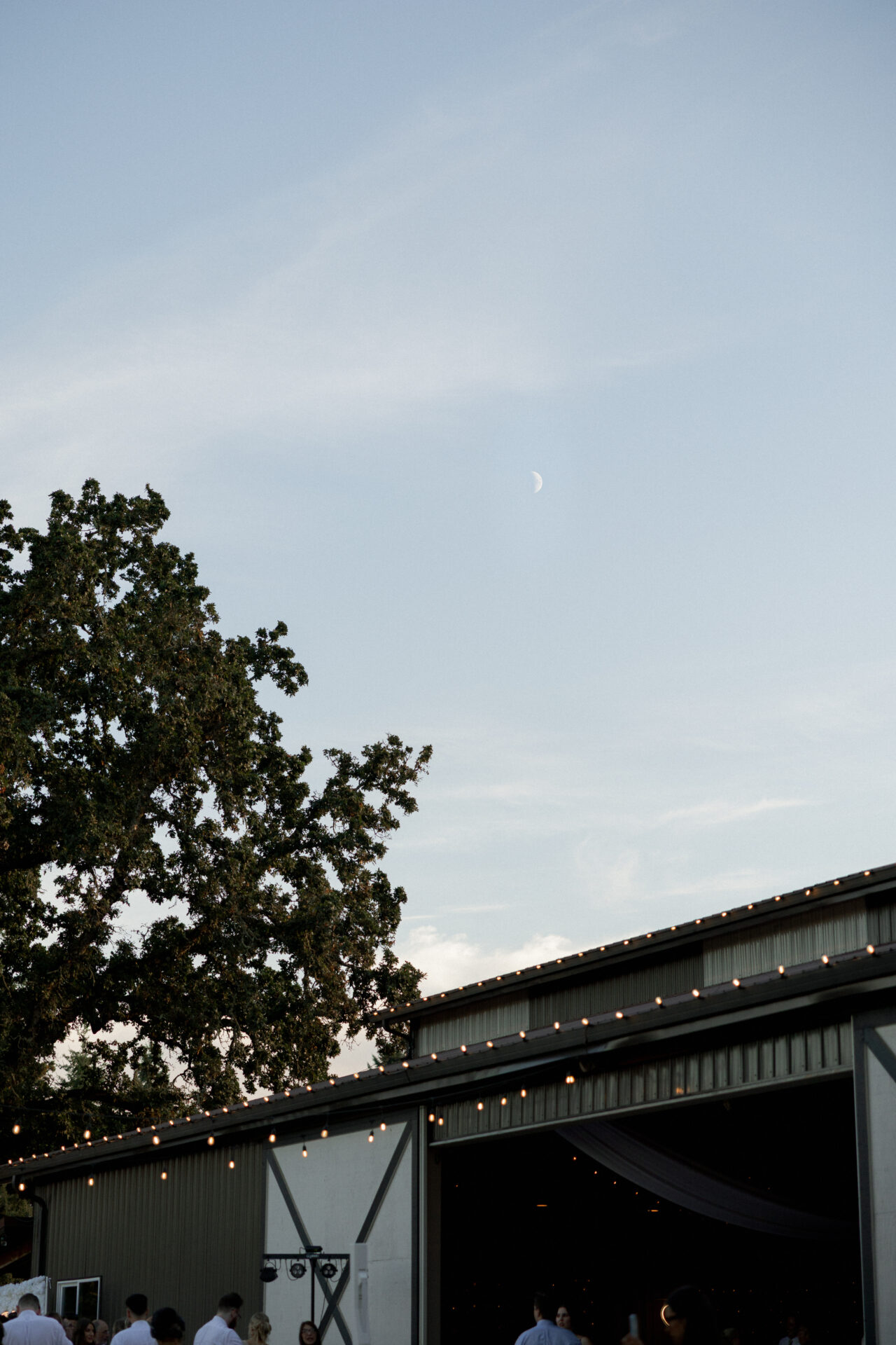 Sydney + Evan | Rowe Wedding